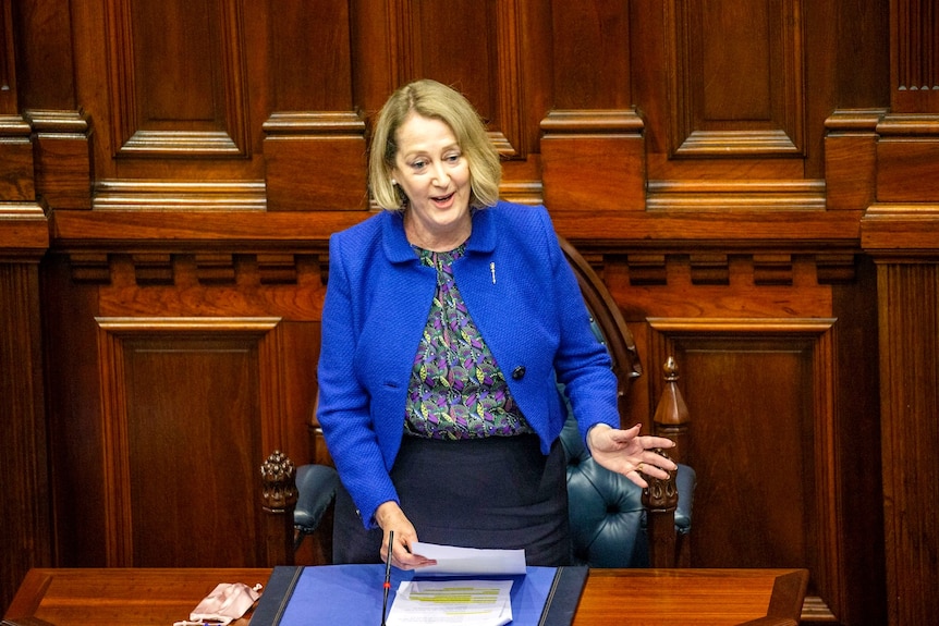 A picture of Michelle Roberts in parliament wearing a bright blue jacket.
