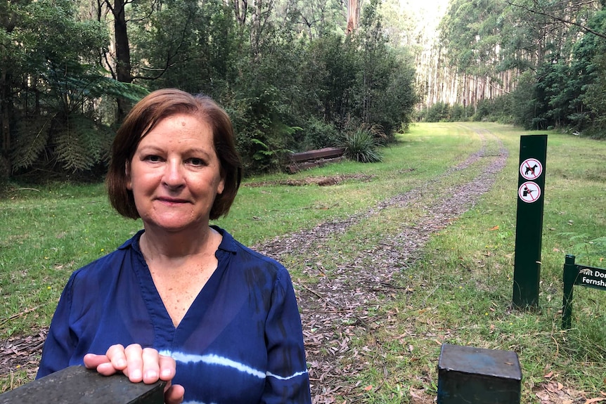A woman standing in a dense forest in the Yarra Ranges