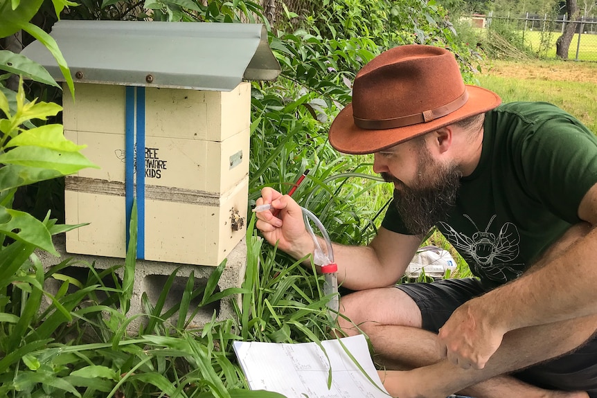 Dr Smith looks at man made beehive that looks like a mailbox. 