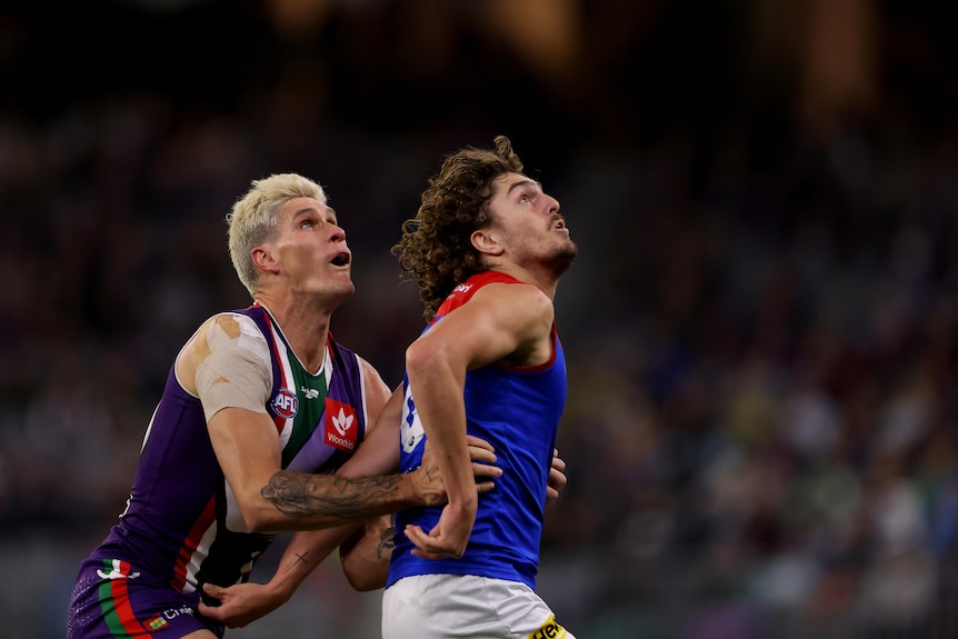 Two AFL players jostle for position at an aerial contest. 