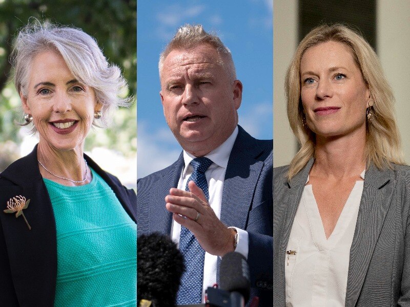 A composite of the three political leaders side by side.