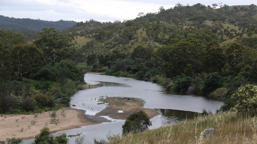 Emergency services at a ridge above a river.