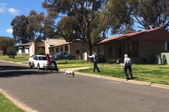 A police officers is pointing his gun at another man in a residential street at Cowra.