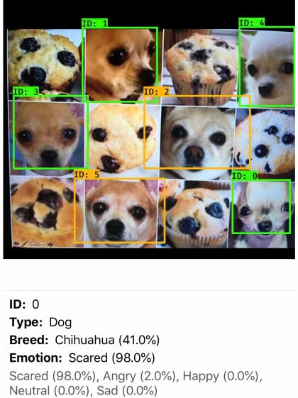 The Happy Pets app can tell a chihuahua from a blueberry muffin