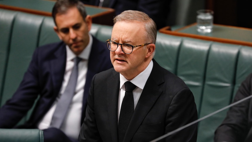 Anthony Albanese wears black while speaking in the house of representatives