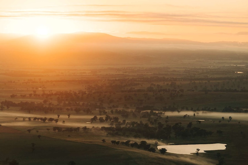 A warm sunrise lens flair over a green paddock.