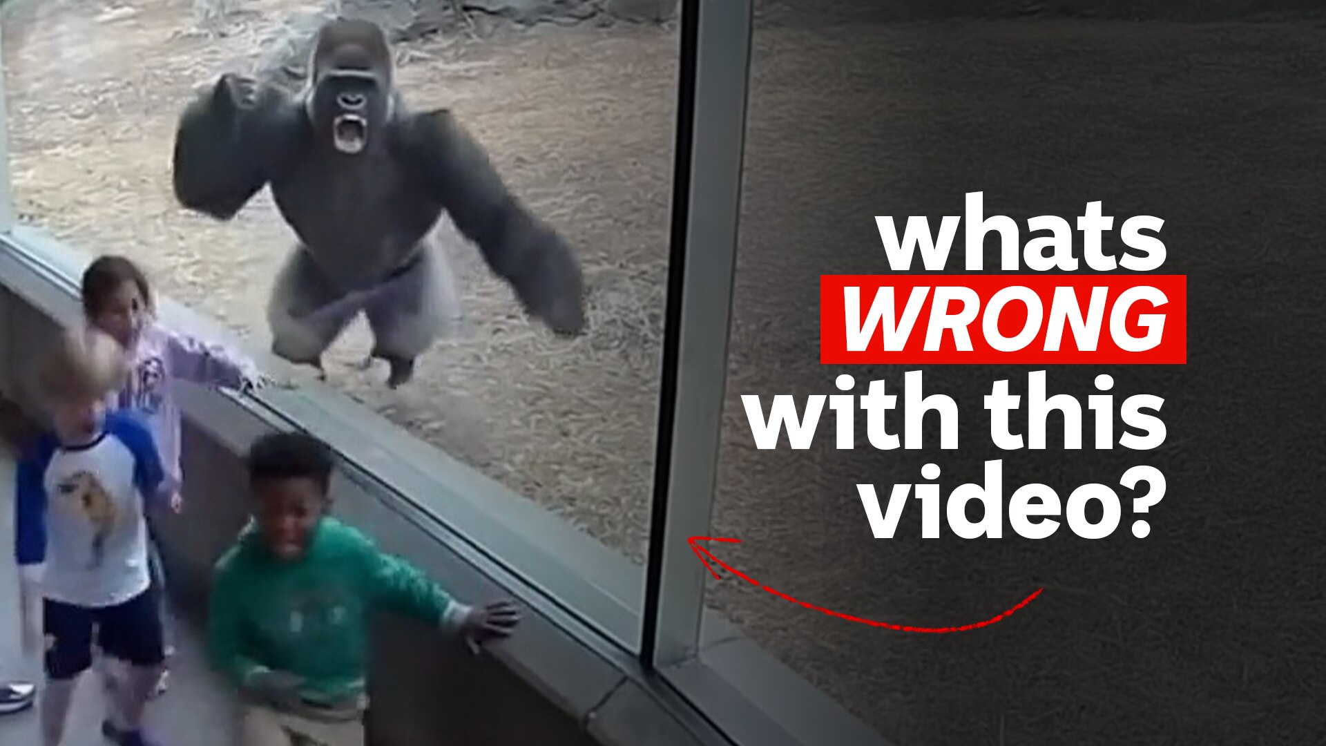 A silverback gorilla charges at the viewing window of his enclosure while some children run away crying.