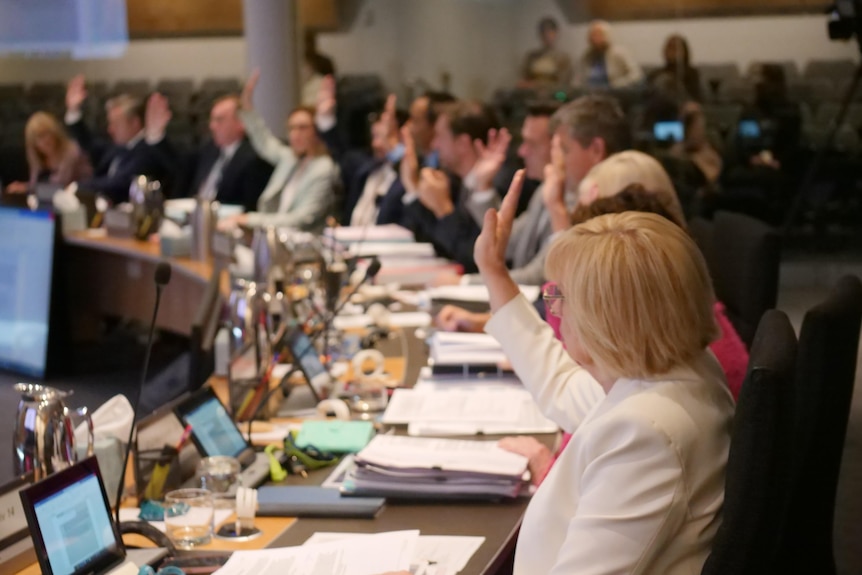 row of councillors with hands in the air