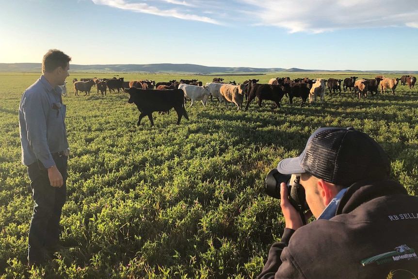 A man is taking a photo of a farmer standing in a green paddock with cows in the background.