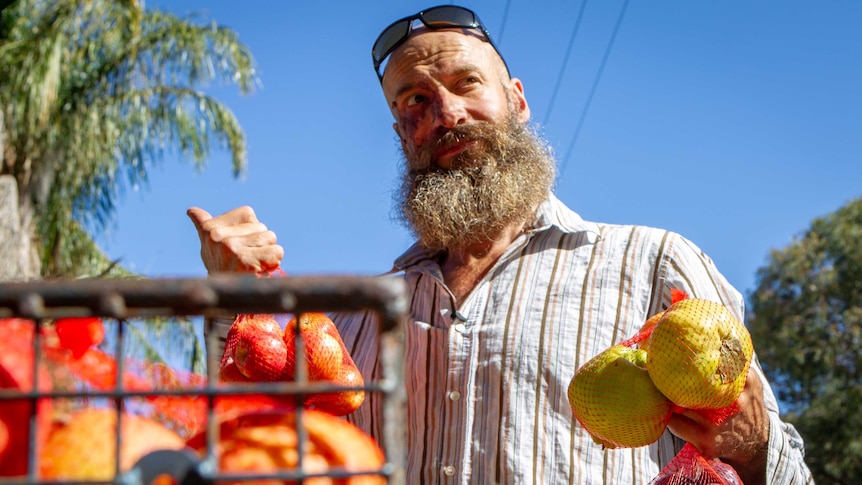 A man with a bushy beard holds bags of apples, quinces and plums