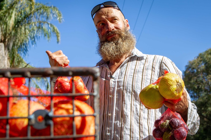 A man with a bushy beard holds bags of apples, quinces and plums