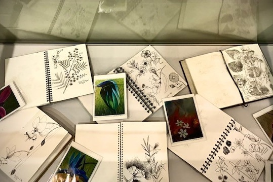 An aerial view of sketch books full of illustrations of flowers and some colour paintings