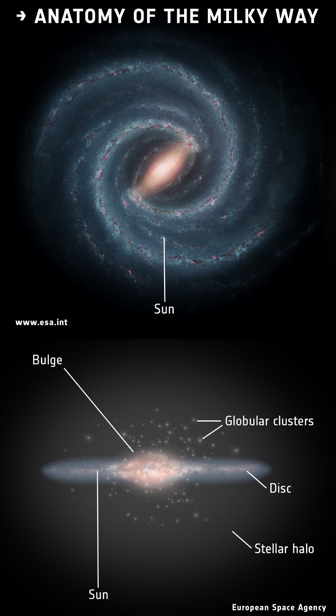 A spiral galaxy shown face on and side on