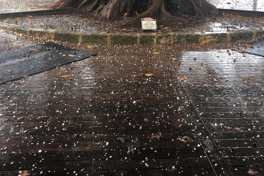 A brick footpath covered in hail stones and a large tree in the background.