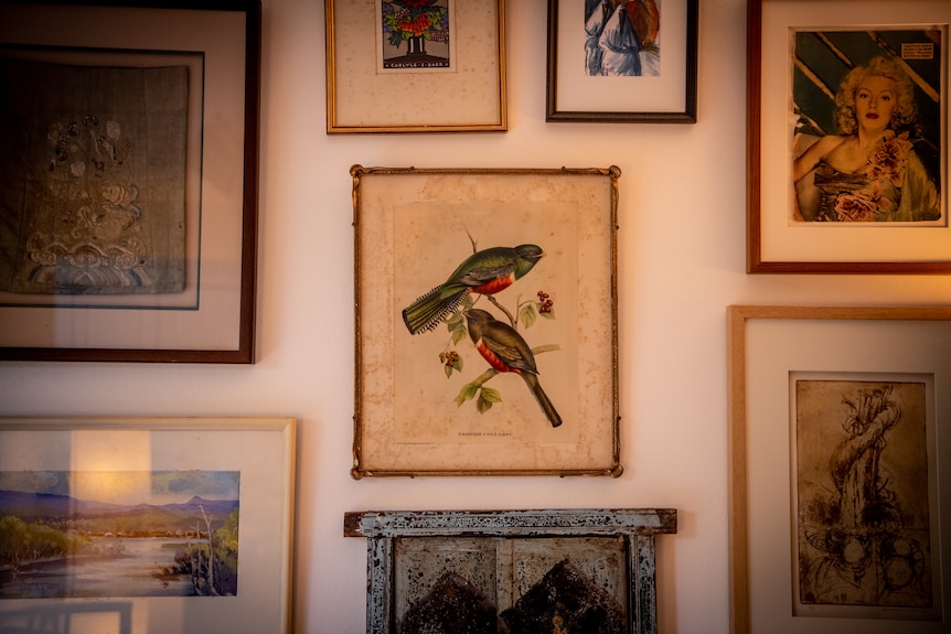 Eccentric prints including birds, lanscapes and vintage women cover a wall