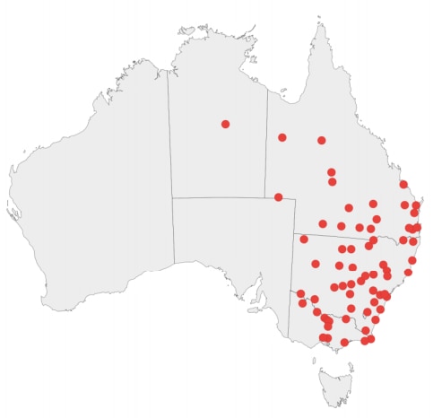 Map of Australia with dots scattering VIC, NSW and QLD .