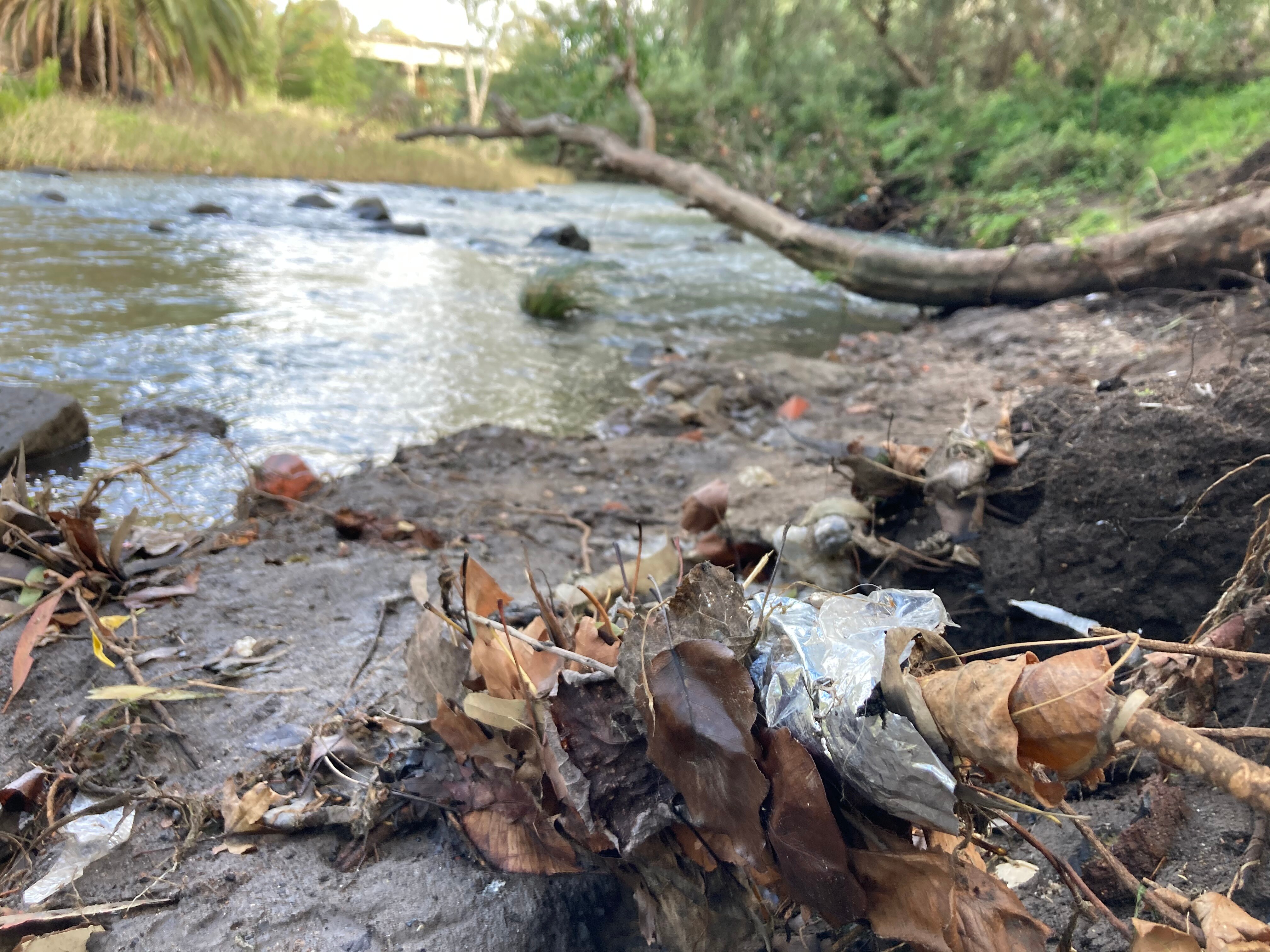 A piece of clear plastic in mud on a riverbank.