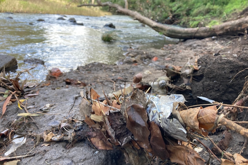 A piece of clear plastic in mud on a riverbank.