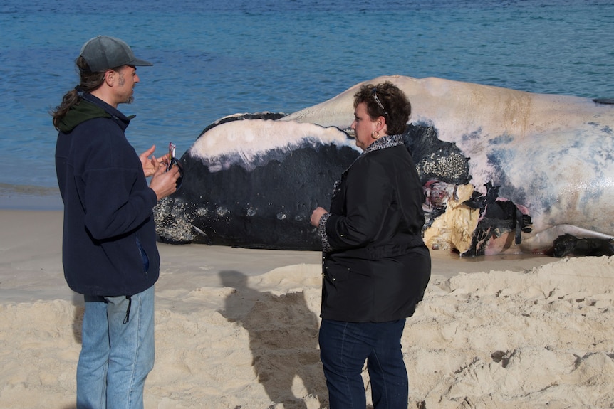 Man on left, woman an right in foreground, decomposing whale body in background by water's edge.