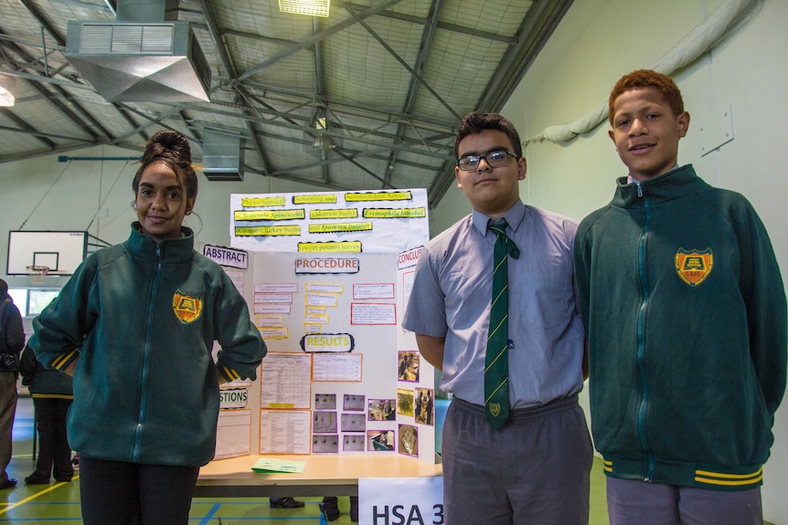 Fuel from the cactus? Students' science experiments yield surprising ...
