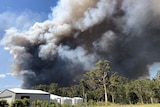 Bushfire and huge smoke plume behind homes at Cooroibah.