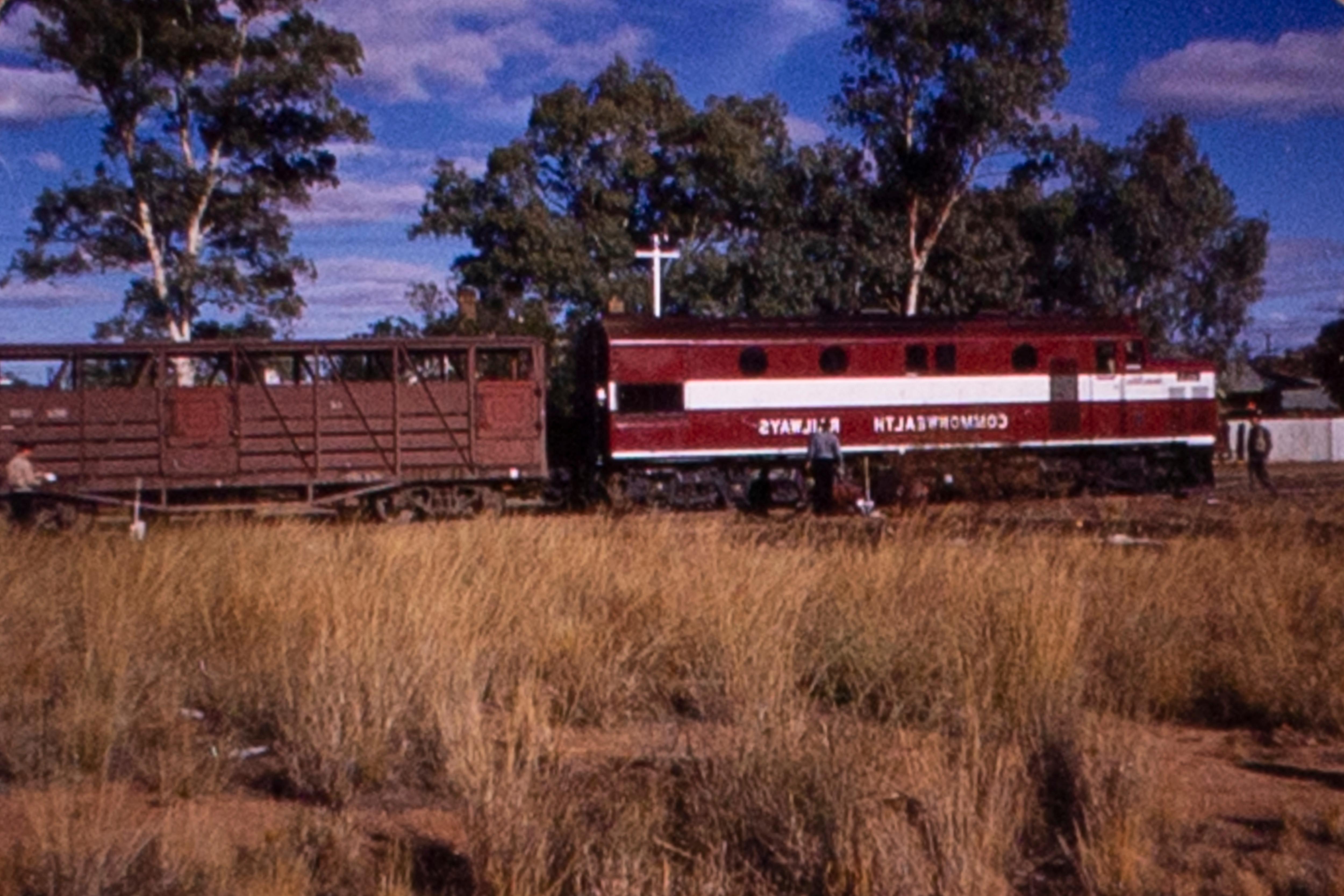 Study shows a return of NT cattle transported by rail could save
