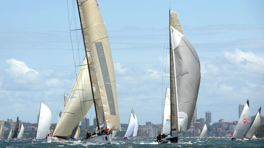 Competitors in the Sydney to Hobart yacht race make their way down Sydney Harbour.