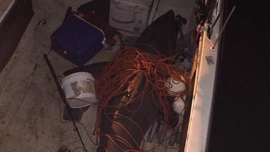 A dead shark covered in rope sits at the bottom of a boat.