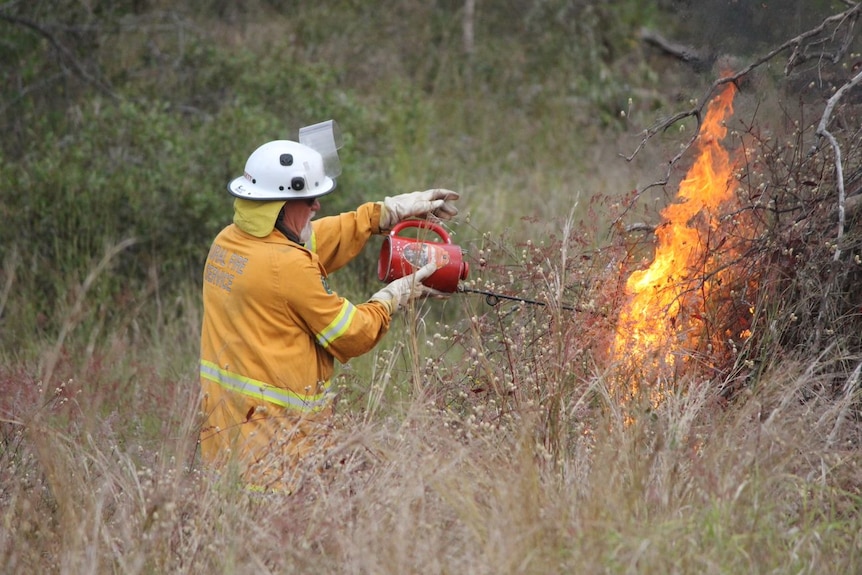A firefighter lighting a fire in bushland.