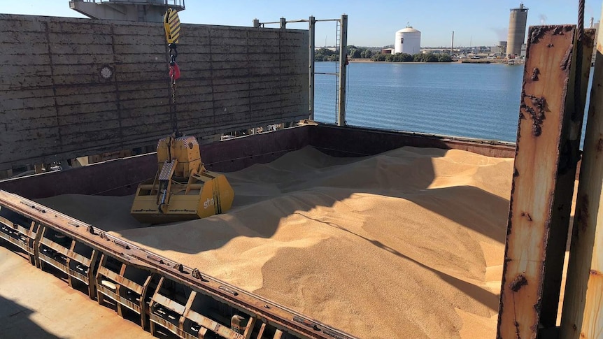 Tonnes of wheat on a ship