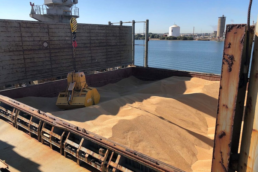 Tonnes of wheat on a ship