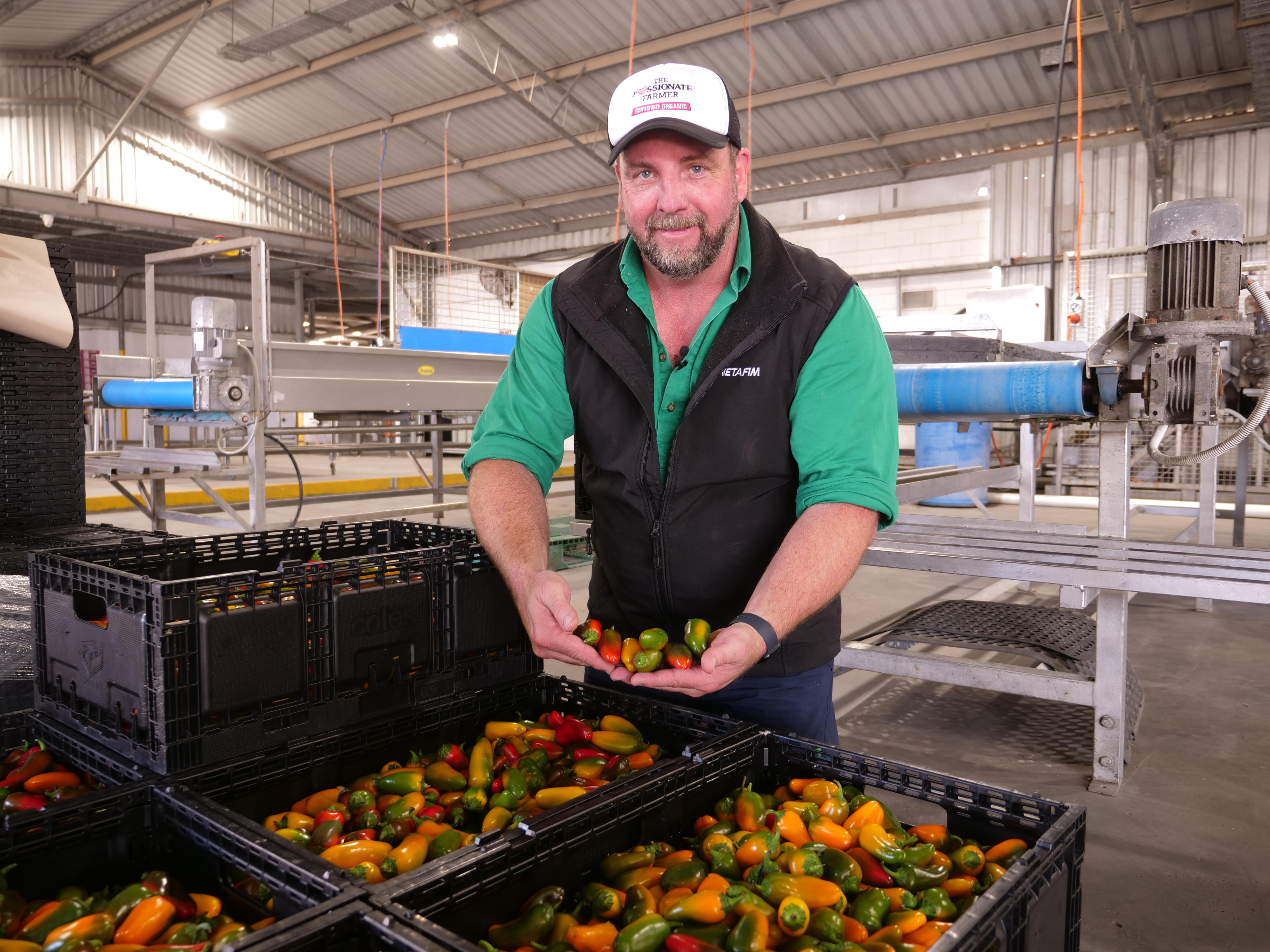 Major vegetablegrowing region Bowen excited to see return of