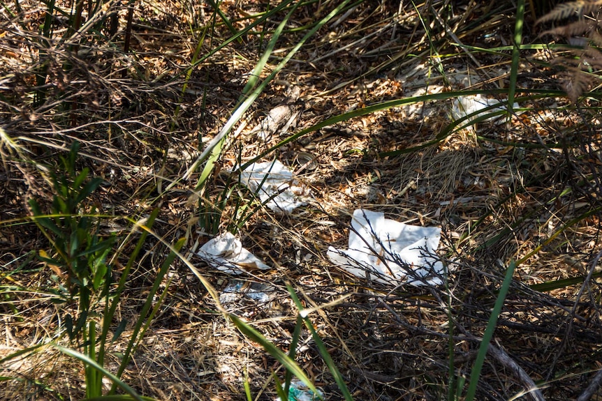 Wipes used as toilet paper on Bruny Island