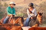 Two women sit on horses behind a mob of cattle