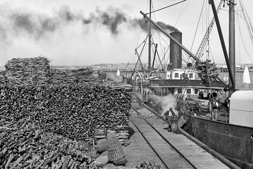 Historic photos of great piles of sandalwood awaiting shipping on an old wharf.