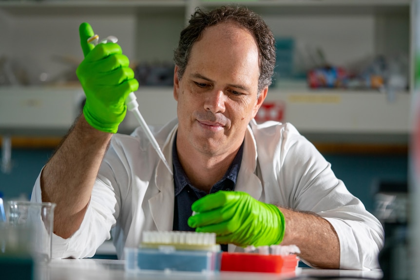 Sam Banks holding a sample with green gloves in a lab.