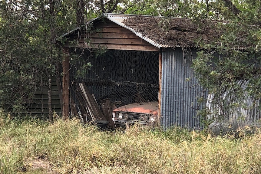 A car bonnet peeks out from an old shed.
