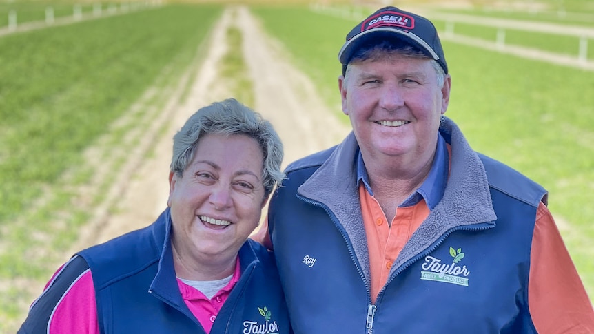 A man and a woman standing in a green paddock.