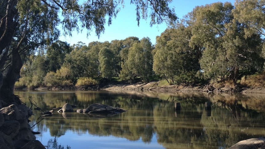 The Murrumbidgee River at Wagga