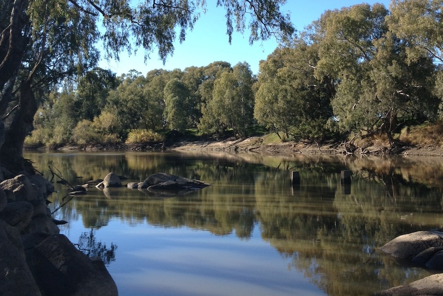 Irrigators get more funding to save Murray-Darling water