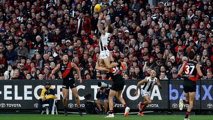 Collingwood's Jamie Elliott leaps high with arms outstretched to take a mark on the shoulders of an Essendon player.