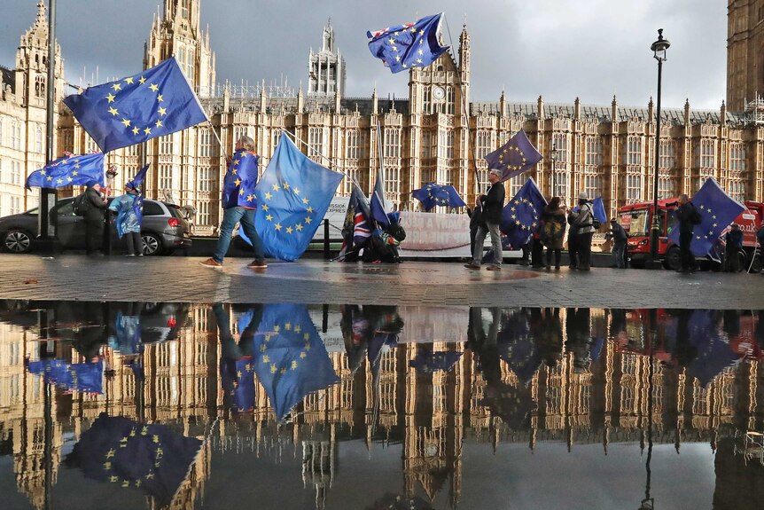 Palace of Westminster with pro-EU activists waving EU flags