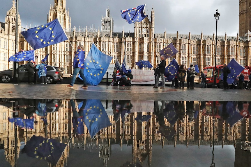 Palace of Westminster with pro-EU activists waving EU flags