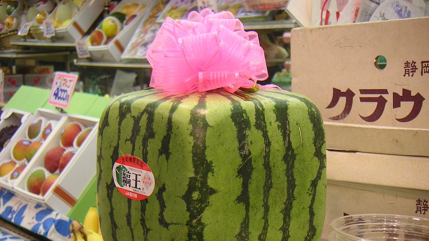 Japanese consumers are partial to watermelons grown in moulds to achieve a cube shape.