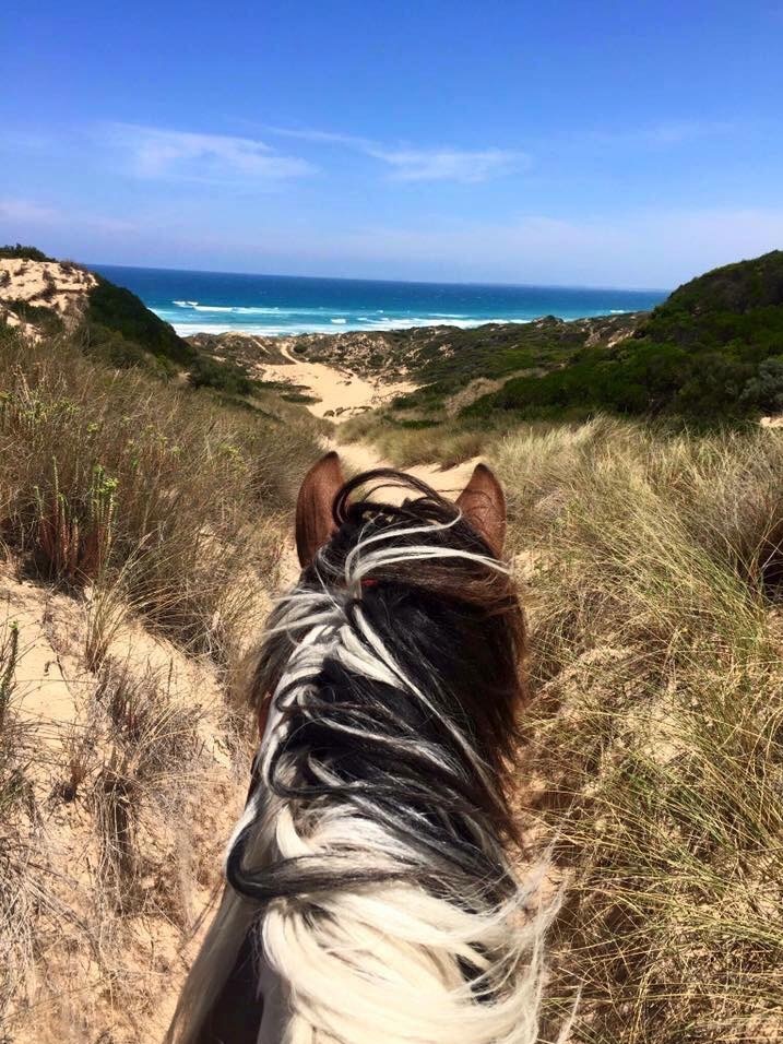 View from the point of view of someone riding a horse — the back of the horse's head at a sandy trail looking toward the beach.