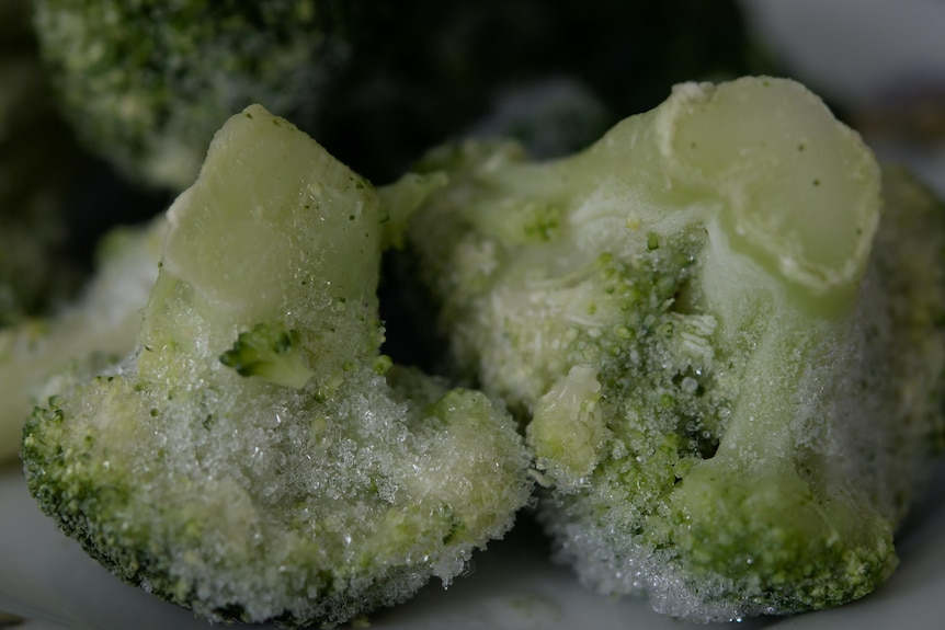 Two heads of frozen broccoli.