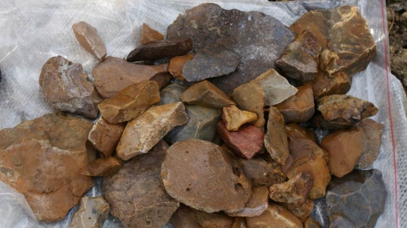 Stone tools from Sulawesi