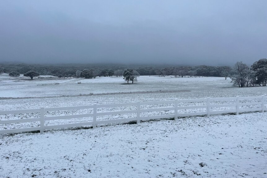 Snow blankets an open field.