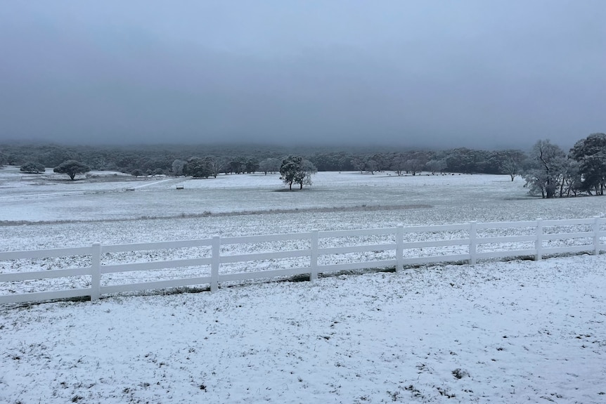 Snow blankets an open field.