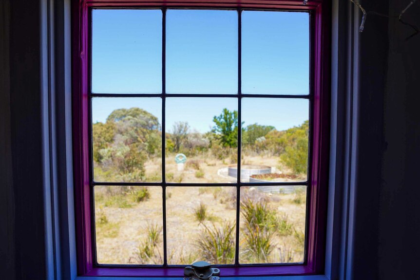 A view from the purple and pink-framed toilet window at the back of the bus shows the surrounding bush.